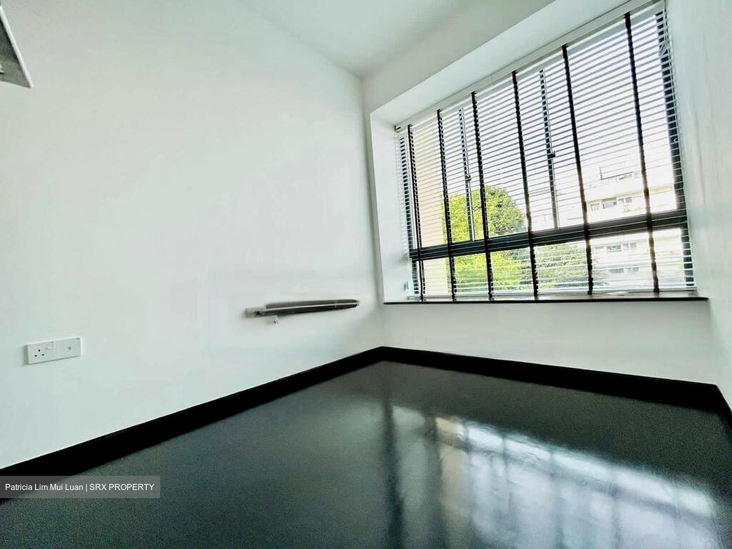 Haig Residences (D15), Apartment #464660201